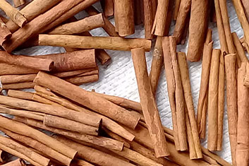 Natural Dry Cinnamon Sticks