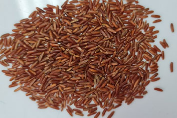 rasberry-rice-seeds
